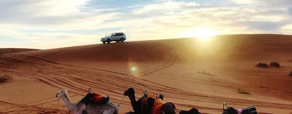 Dubai Desert Safari Eco Tours_ v